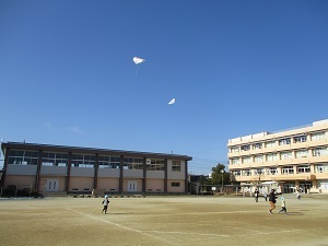 IMG_0824