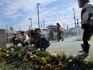 花苗植え (1) 花苗植え (1)