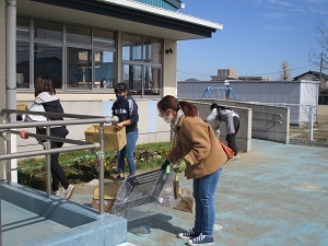 花苗植え (4) 花苗植え (4)