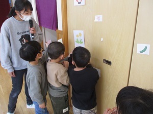 IMG_2225 IMG_2225