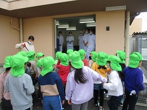 IMG_2393 IMG_2393