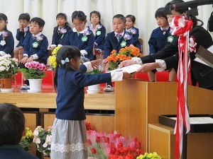 IMG_2462 IMG_2462