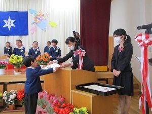 IMG_2520 IMG_2520