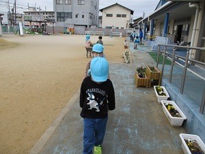 IMG_2575 IMG_2575