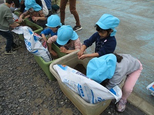 IMG_2576 IMG_2576
