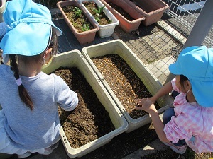 IMG_2583 IMG_2583