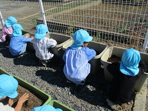 IMG_2584 IMG_2584