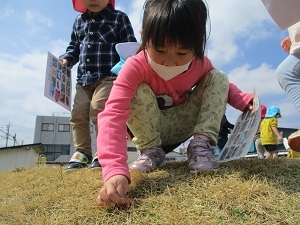 IMG_2422 IMG_2422