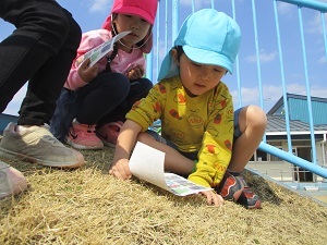 IMG_2421 IMG_2421