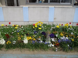 IMG_2823 IMG_2823