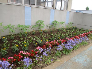 花壇 花壇