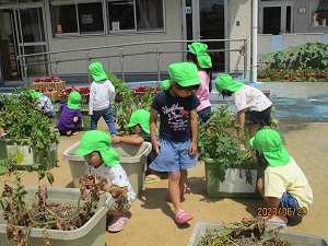 IMG_4621 IMG_4621