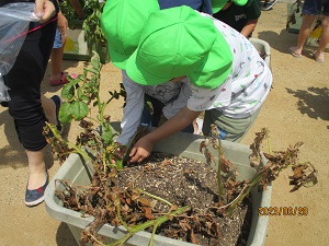 IMG_4626 IMG_4626