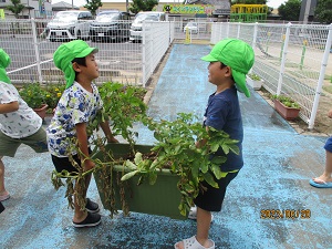 IMG_4612(1) IMG_4612(1)