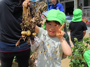 IMG_4635 IMG_4635