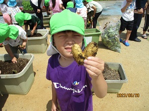 IMG_4644 IMG_4644