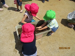 IMG_4644 IMG_4644