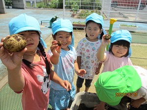IMG_4650 IMG_4650