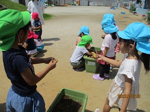 IMG_4650 IMG_4650
