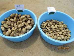 IMG_4661 IMG_4661
