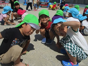IMG_4834 IMG_4834