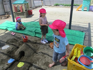 IMG_4845 IMG_4845