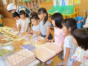 IMG_5256 IMG_5256