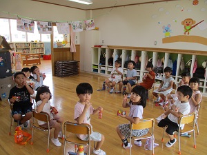 IMG_5309 IMG_5309