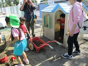 IMG_6781 IMG_6781