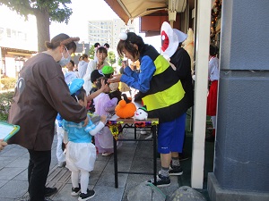 IMG_7290 IMG_7290