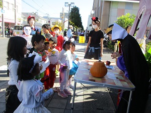 IMG_7284 IMG_7284