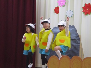 IMG_8291 IMG_8291
