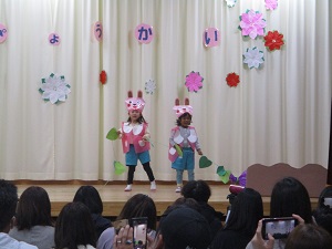 IMG_8309 IMG_8309