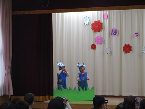 IMG_8310 IMG_8310