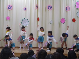 IMG_8329 IMG_8329