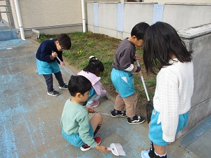 IMG_8491 IMG_8491