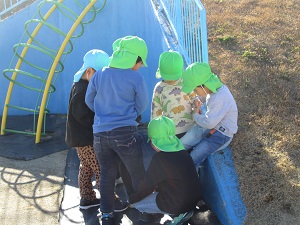 IMG_8900 IMG_8900