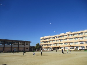 IMG_8282 IMG_8282