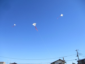 IMG_8308 IMG_8308