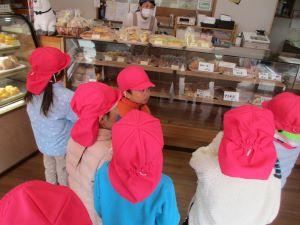 IMG_9816(1) IMG_9816(1)