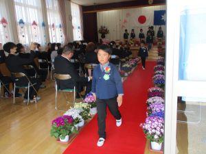 IMG_1106 IMG_1106