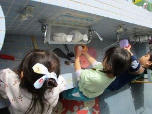 IMG_1200(2) IMG_1200(2)