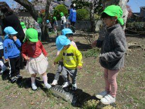 IMG_1447 IMG_1447