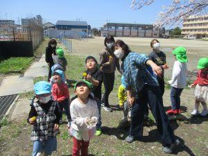 IMG_1452 IMG_1452