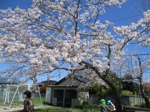 IMG_1464 IMG_1464