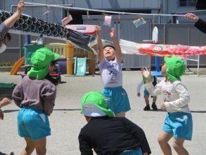 IMG_1774 IMG_1774