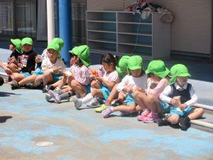 IMG_2041 IMG_2041