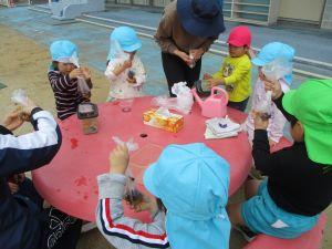 IMG_1702 IMG_1702