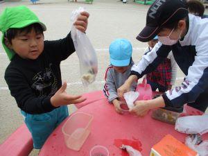 IMG_1857 IMG_1857