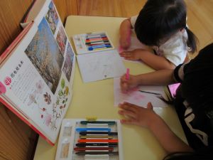IMG_1762(1) IMG_1762(1)